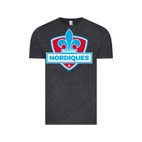 Vintage Black maine nordiques Vintage Tee - artisFamous