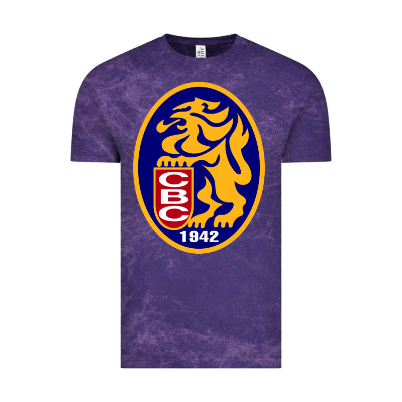 Leones Del Caracas Vintage Tee by artisFamous | Teevron