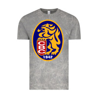 Cloud Rock leones del caracas Vintage Tee - artisFamous