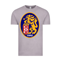 Vintage Zinc leones del caracas Vintage Tee - artisFamous