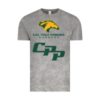 Cloud Rock cal pol pomona Vintage Tee - artisFamous