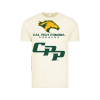 Vintage Arctic cal pol pomona Vintage Tee - artisFamous