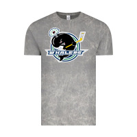 Cloud Rock plymouth whalers Hockey Vintage Tee - artisFamous
