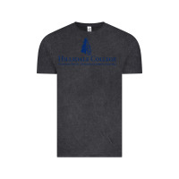 Vintage Black Hillsdale College Vintage Tee - artisFamous