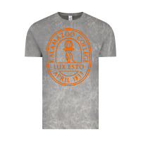 Cloud Rock Kalamazoo College Vintage Tee - artisFamous