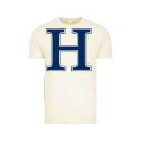 Vintage Arctic Hillsdale College Vintage Tee - artisFamous