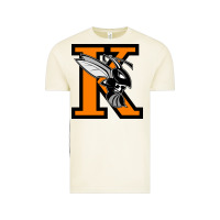 Vintage Arctic Kalamazoo College Vintage Tee - artisFamous