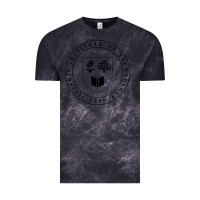 Cloud Black Illinois Institute of Technology College Vintage Tee - artisFamous