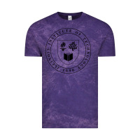 Cloud Purple Illinois Institute of Technology College Vintage Tee - artisFamous