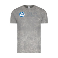 Cloud Rock National Louis College Vintage Tee - artisFamous