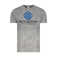 Cloud Rock The Chicago School of Professional Psychology Vintage Tee - artisFamous