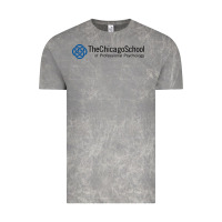 Cloud Rock The Chicago School of Professional Psychology Vintage Tee - artisFamous