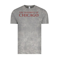 Cloud Rock College of Chicago Vintage Tee - artisFamous