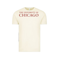 Vintage Arctic College of Chicago Vintage Tee - artisFamous