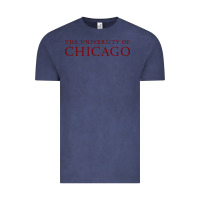 Vintage Denim College of Chicago Vintage Tee - artisFamous