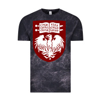 Cloud Black College of Chicago Vintage Tee - artisFamous