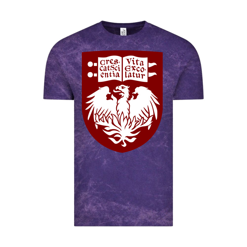 College Of Chicago Vintage Tee by artisFamous | Teevron