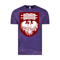 Cloud Purple College of Chicago Vintage Tee - artisFamous
