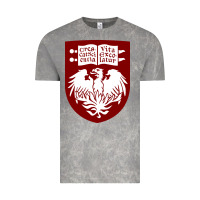 Cloud Rock College of Chicago Vintage Tee - artisFamous