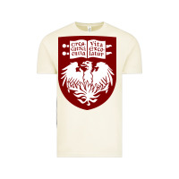 Vintage Arctic College of Chicago Vintage Tee - artisFamous