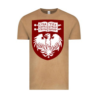 Vintage Camel College of Chicago Vintage Tee - artisFamous