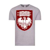 Vintage Zinc College of Chicago Vintage Tee - artisFamous