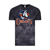 Cloud Black Condors, The Bakersfield Vintage Tee - artisFamous