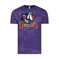 Cloud Purple Condors, The Bakersfield Vintage Tee - artisFamous
