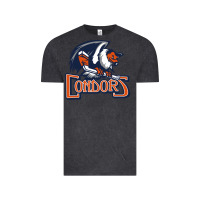 Vintage Black Condors, The Bakersfield Vintage Tee - artisFamous
