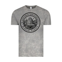 Cloud Rock radford university Vintage Tee - artisFamous