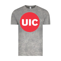Cloud Rock university of illinois at chicago circle Vintage Tee - artisFamous