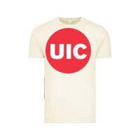 Vintage Arctic university of illinois at chicago circle Vintage Tee - artisFamous