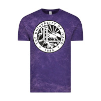 University Of Idaho Vintage Tee | Teevron