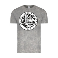 Cloud Rock university of idaho Vintage Tee - artisFamous