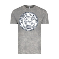 Cloud Rock university of illinois Vintage Tee - artisFamous