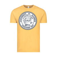 University Of Illinois Vintage Tee | Teevron
