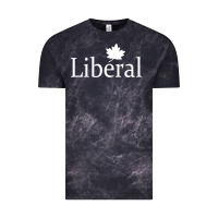 Cloud Black liberal party of canada Vintage Tee - artisFamous