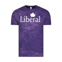 Cloud Purple liberal party of canada Vintage Tee - artisFamous