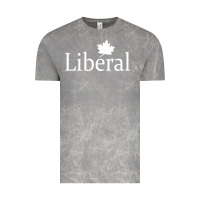Cloud Rock liberal party of canada Vintage Tee - artisFamous