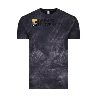 Cloud Black Depauw College Vintage Tee - artisFamous