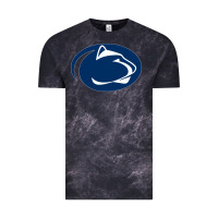 Cloud Black nittany lions Vintage Tee - artisFamous
