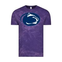 Cloud Purple nittany lions Vintage Tee - artisFamous