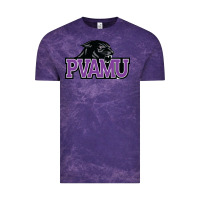 Cloud Purple prairie view a&m panthers and lady panthers Vintage Tee - artisFamous