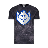 Cloud Black saint louis billikens Vintage Tee - artisFamous