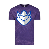 Cloud Purple saint louis billikens Vintage Tee - artisFamous