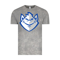 Cloud Rock saint louis billikens Vintage Tee - artisFamous