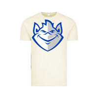 Vintage Arctic saint louis billikens Vintage Tee - artisFamous