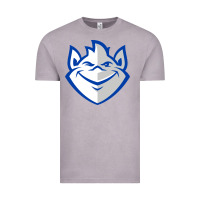 Vintage Zinc saint louis billikens Vintage Tee - artisFamous