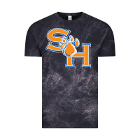Cloud Black sam houston state bearkats Vintage Tee - artisFamous