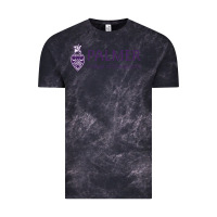 Cloud Black Palmer College of Chiropractic Vintage Tee - artisFamous